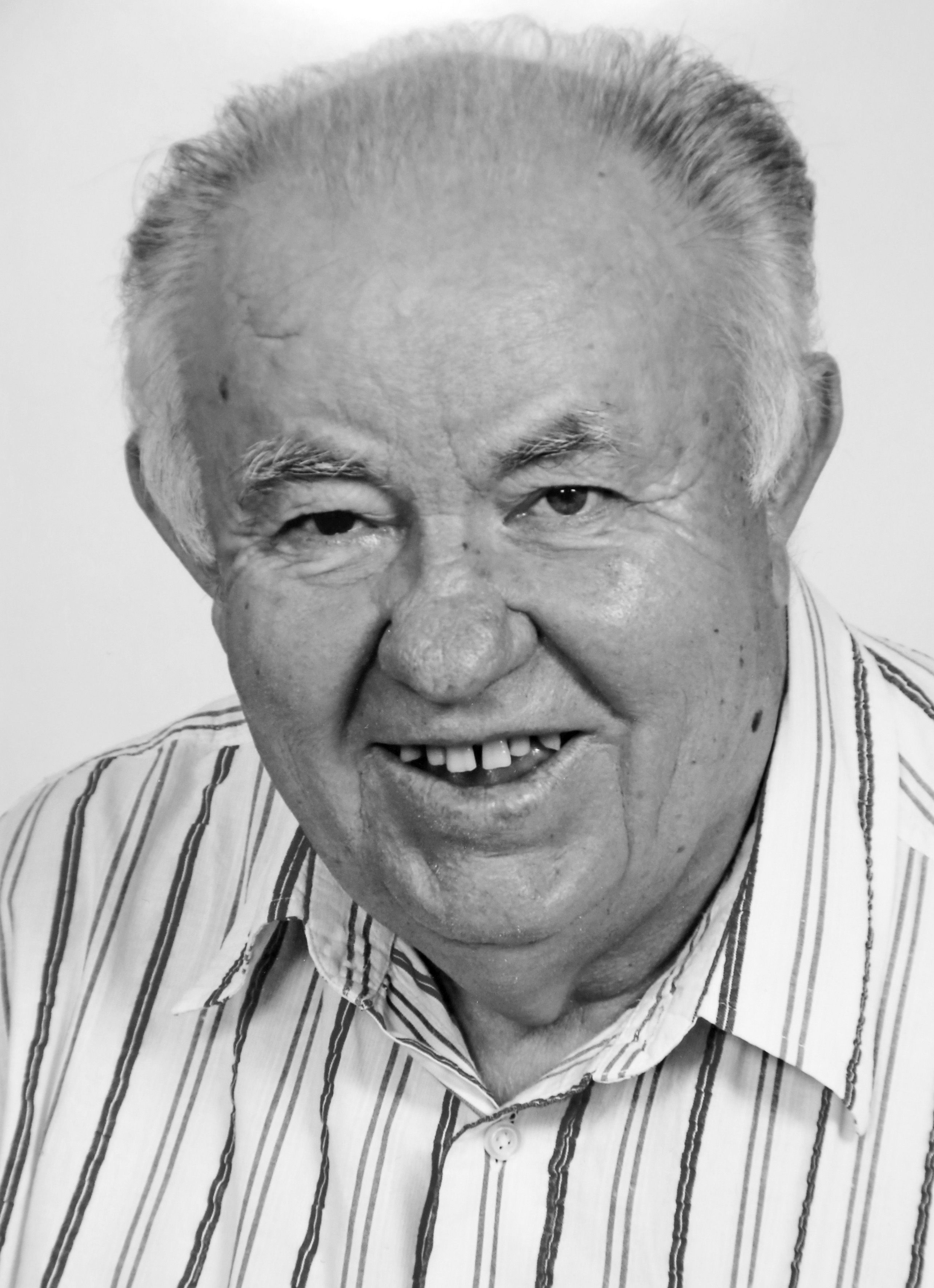 RADIŠA MLADENOVIĆ